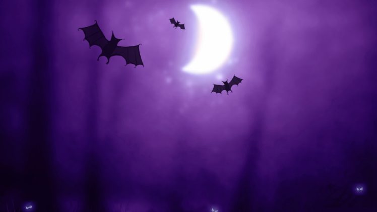 Halloween, Night, Bats HD Wallpaper Desktop Background