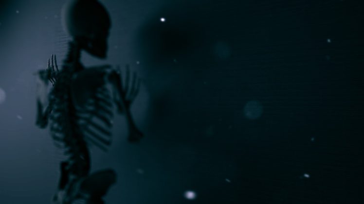 skeleton HD Wallpaper Desktop Background