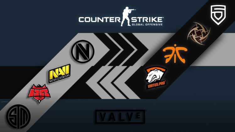Counter Strike: Global Offensive, Virtus.pro, Team Solomid, EnVyUs, Fnatic, Ninjas In Pyjamas, Valve HD Wallpaper Desktop Background