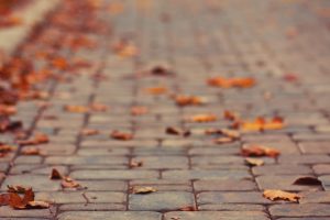 pavements, Leaves, Fall, Depth of field