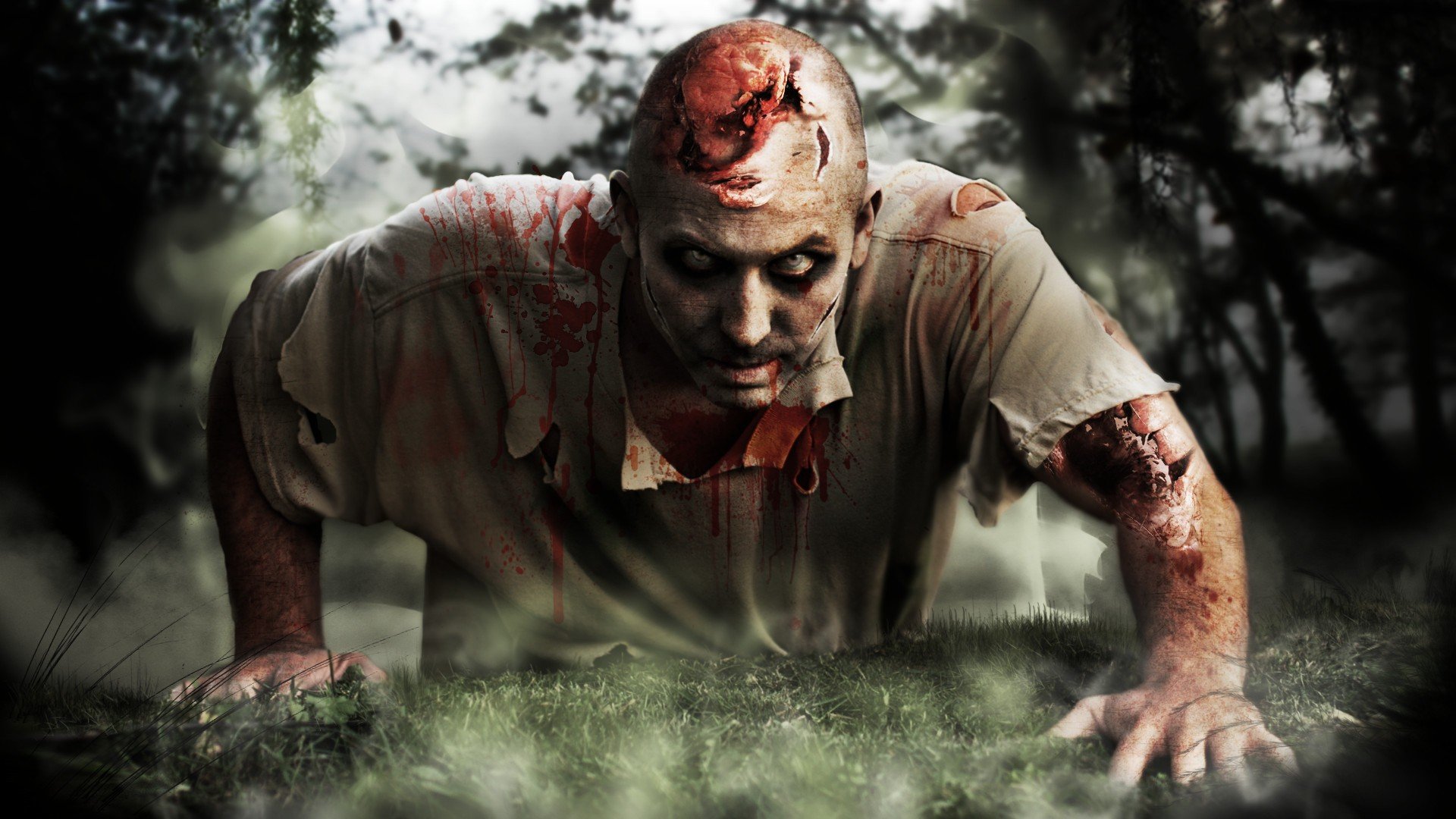 horror, Zombies Wallpapers HD / Desktop and Mobile Backgrounds