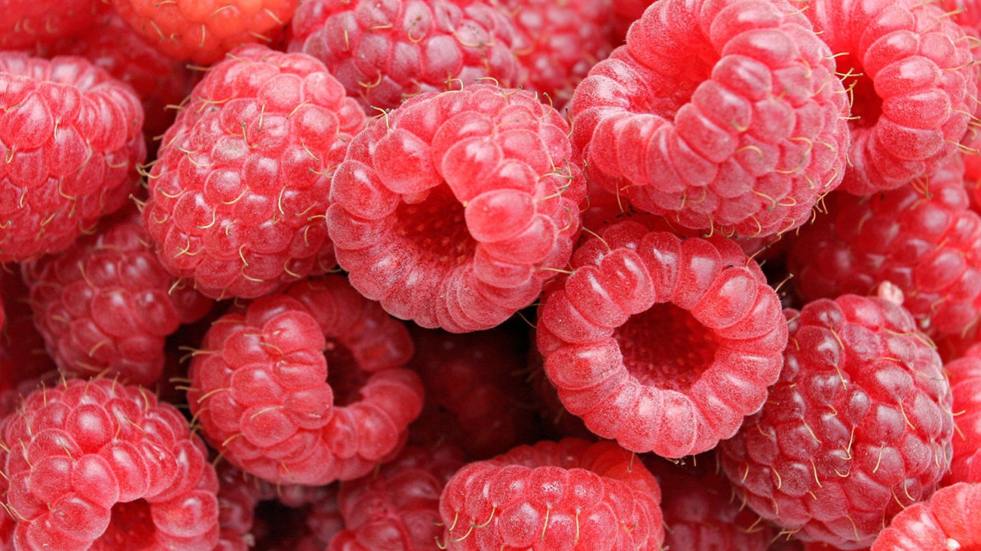 food Wallpaper