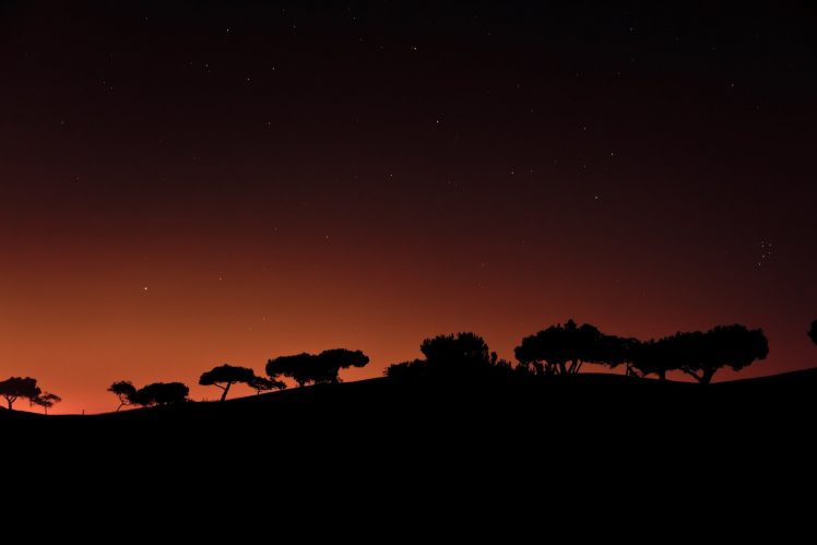 night, Silhouette, Trees, Minimalism, Stars HD Wallpaper Desktop Background