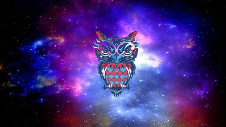owl, Drawing HD Wallpaper Desktop Background