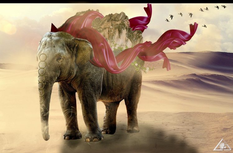 elephants HD Wallpaper Desktop Background