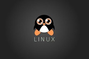 Linux, Tux, Penguin