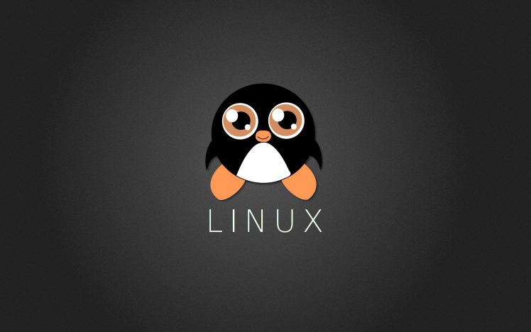 Linux, Tux, Penguin HD Wallpaper Desktop Background