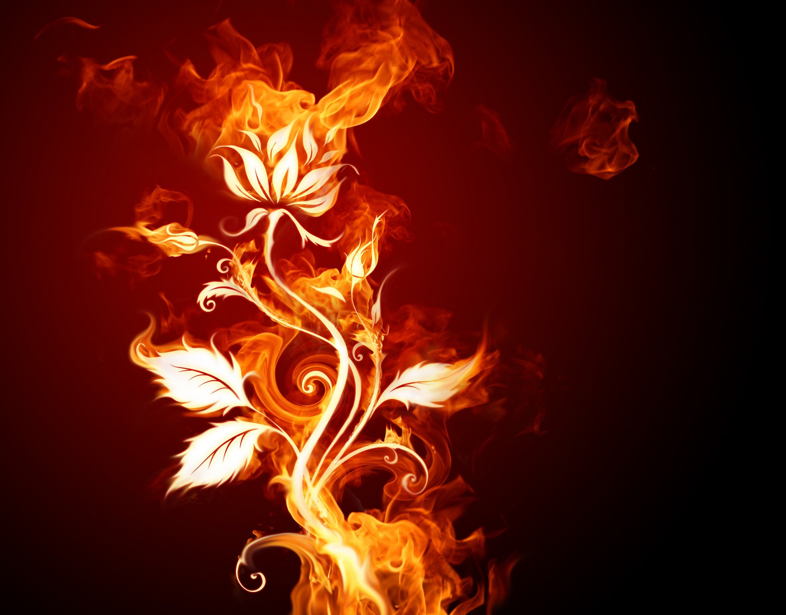 fire Wallpaper