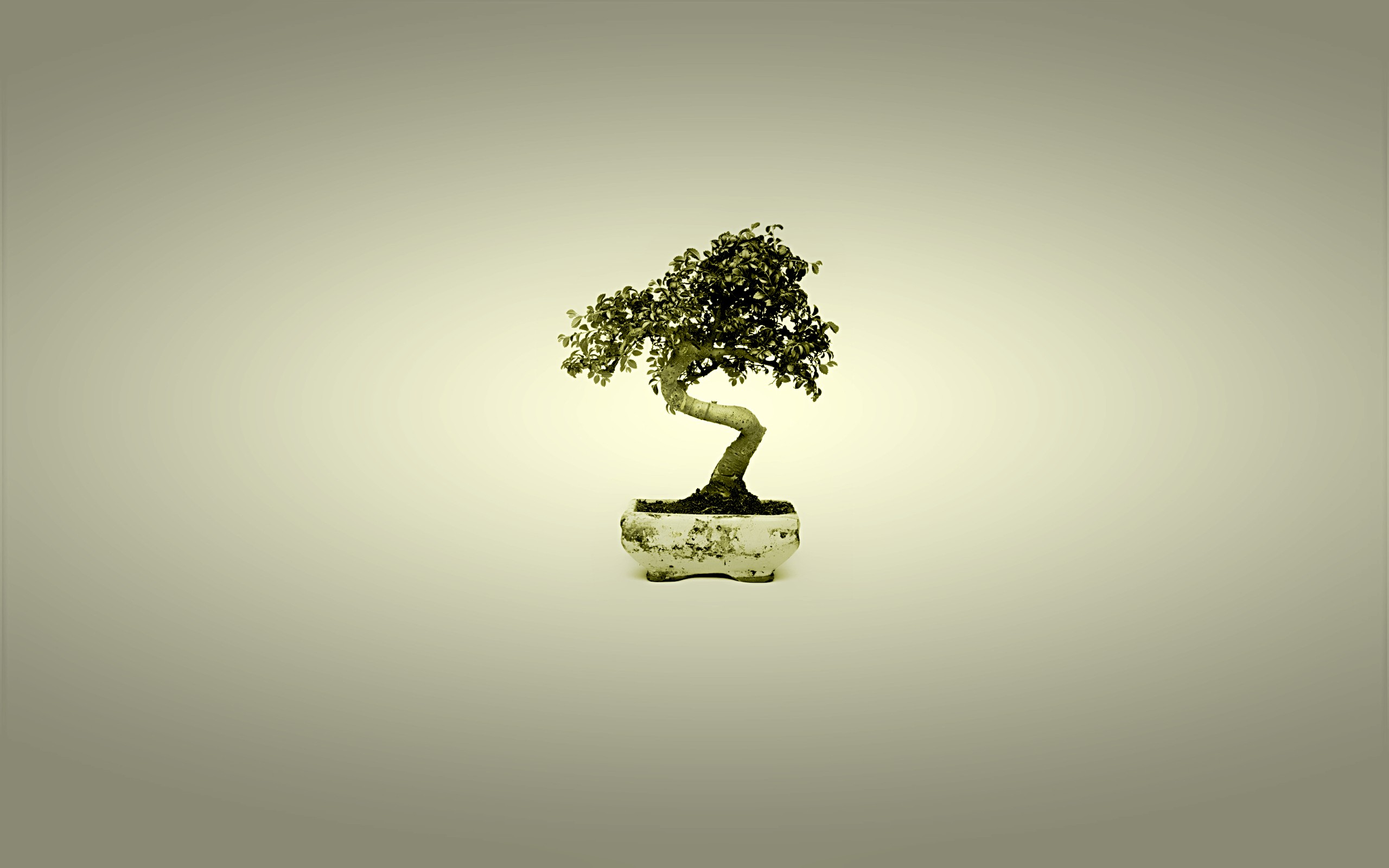 General Wallpaper