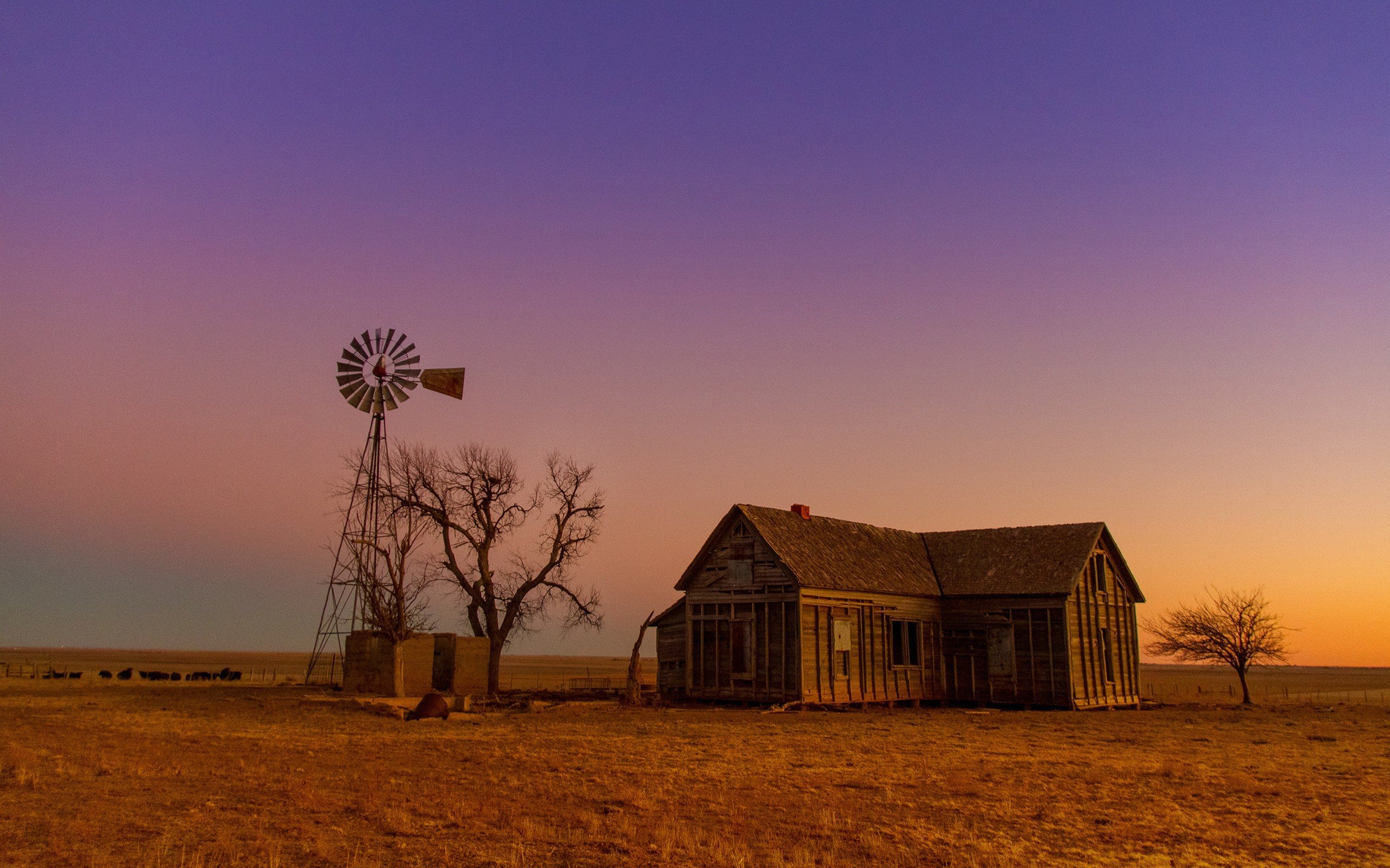 house Wallpaper