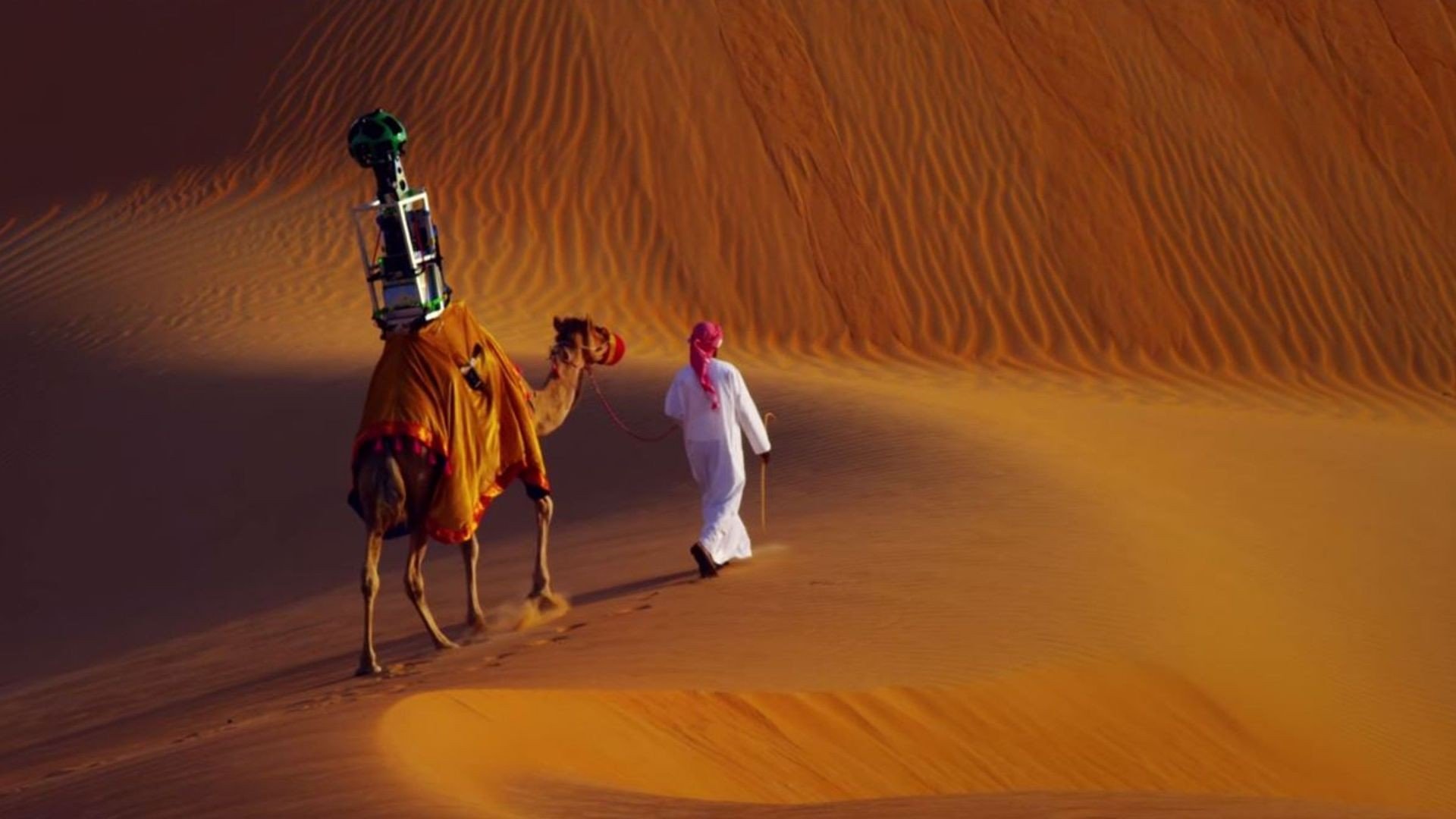 camels, Desert, Google, Google Street View, Camera, Liwa Desert Wallpaper