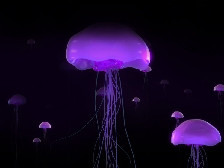 Medusa, Jellyfish HD Wallpaper Desktop Background