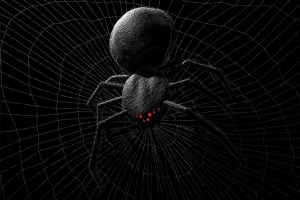 black background, Spider, Creature, Monochrome, Artwork