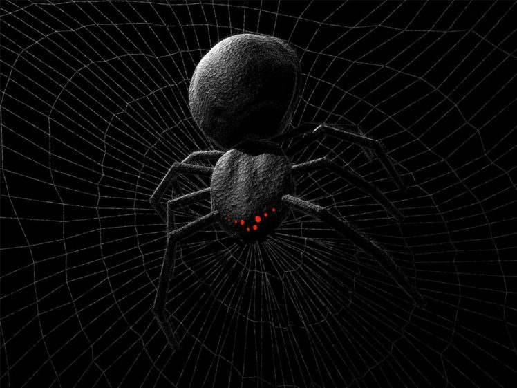 black background, Spider, Creature, Monochrome, Artwork HD Wallpaper Desktop Background