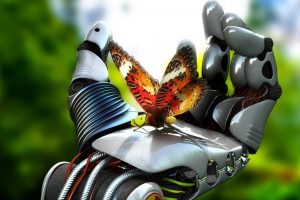 robot, Butterfly