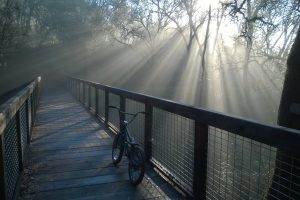mist, Bridge, Bicycle