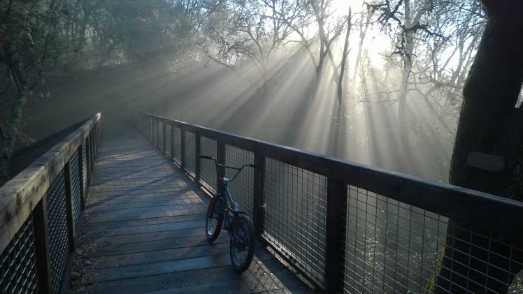 mist, Bridge, Bicycle HD Wallpaper Desktop Background