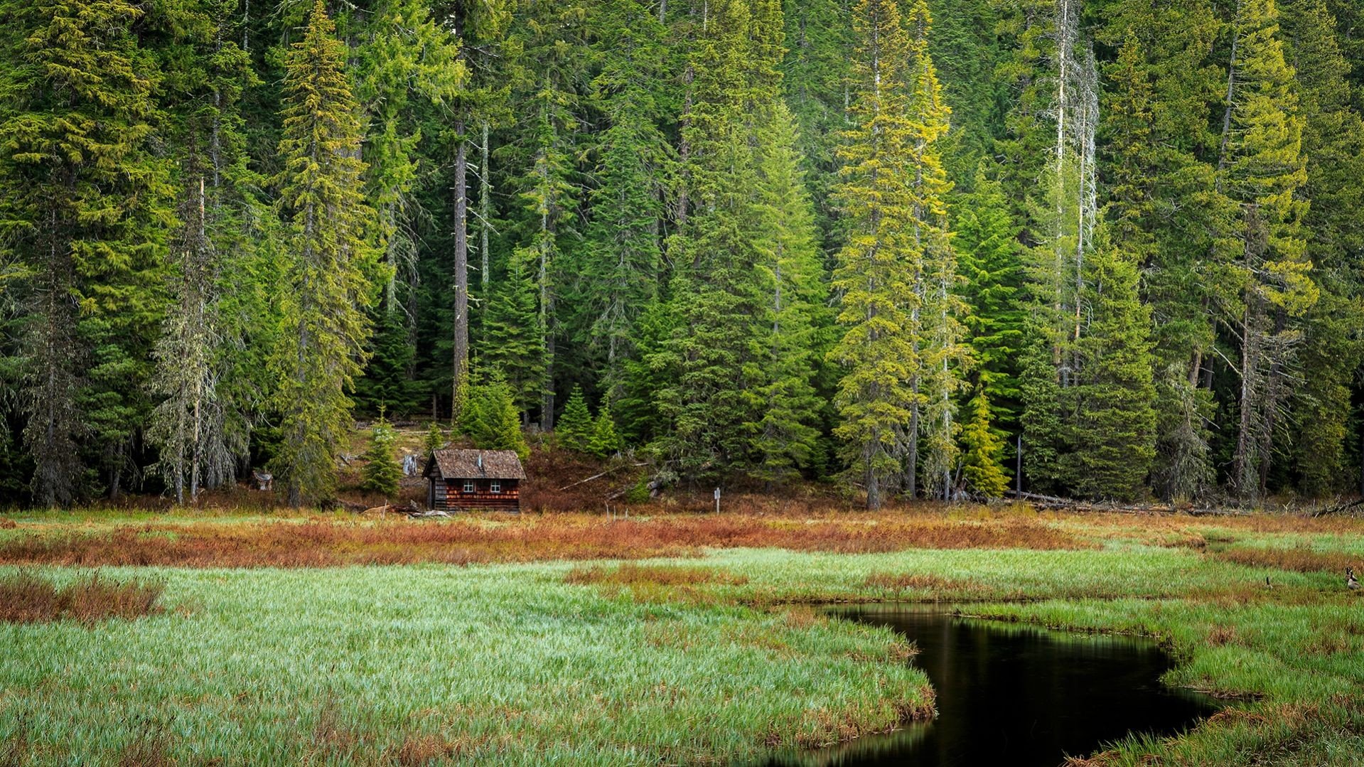 Oregon, Cabin Wallpaper