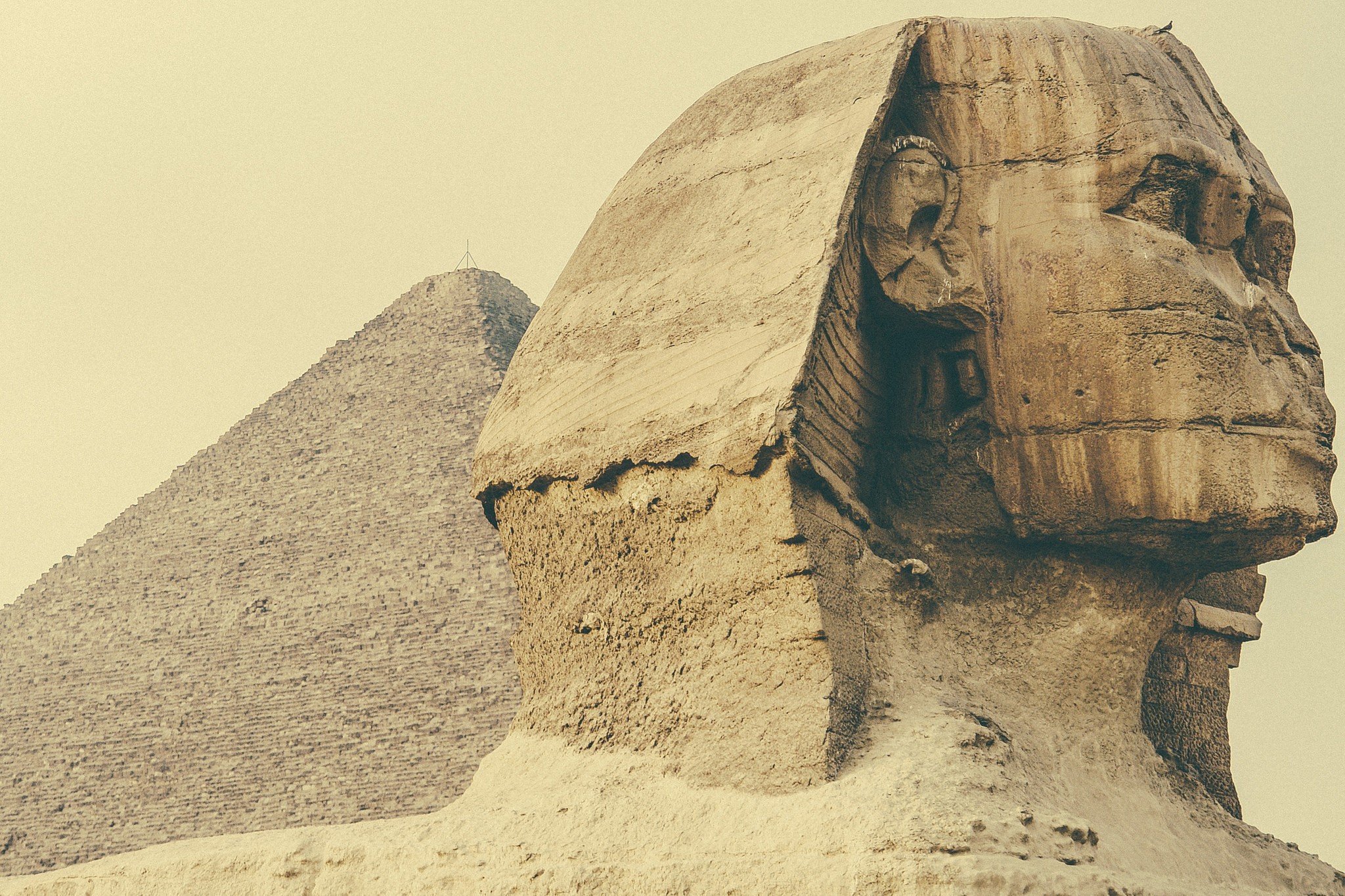 Egypt, Sphinxes Wallpaper