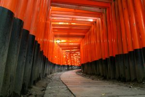 orange, Torii, Path, Japan