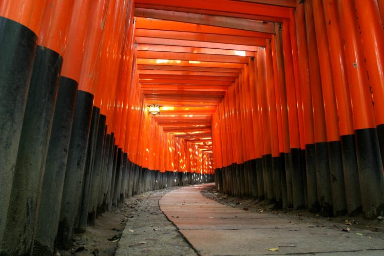 orange, Torii, Path, Japan HD Wallpaper Desktop Background