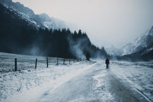 snow, Mountain, Pine trees, Road