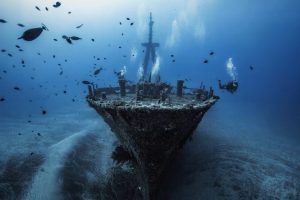 underwater, Fish, Shipwreck, Divers