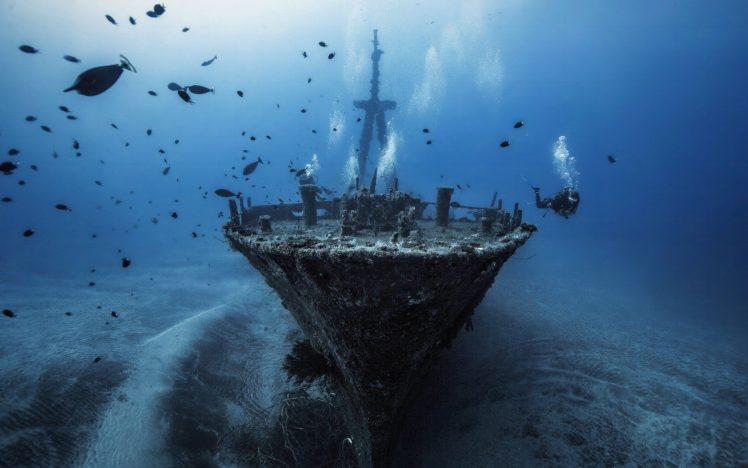 underwater, Fish, Shipwreck, Divers HD Wallpaper Desktop Background