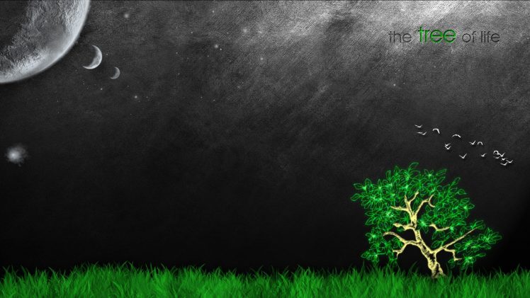 trees, Life HD Wallpaper Desktop Background