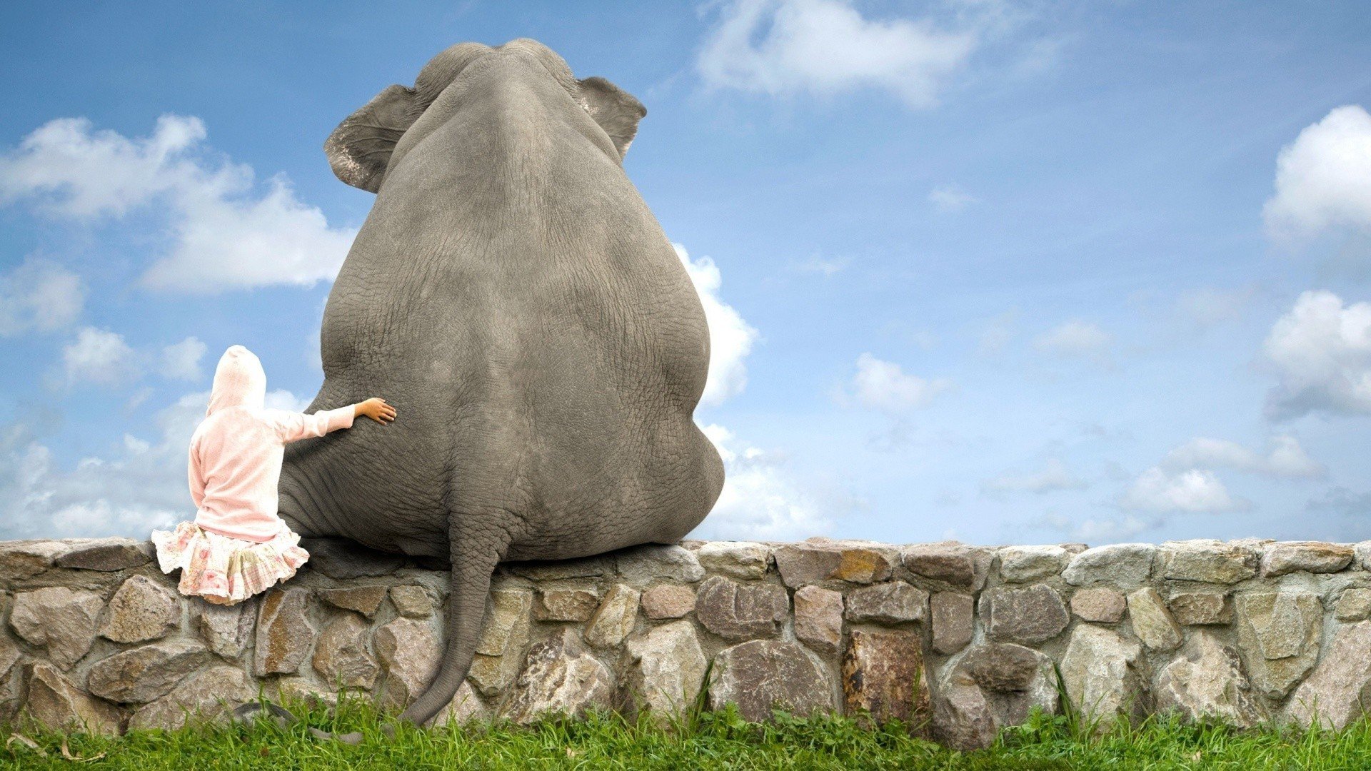 elephants Wallpaper