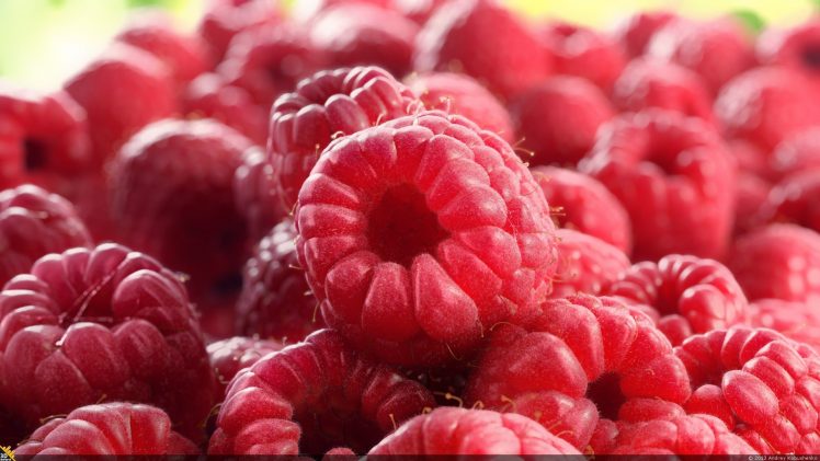 raspberries HD Wallpaper Desktop Background