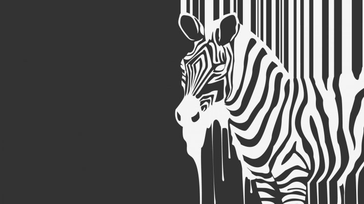 zebras, Monochrome HD Wallpaper Desktop Background