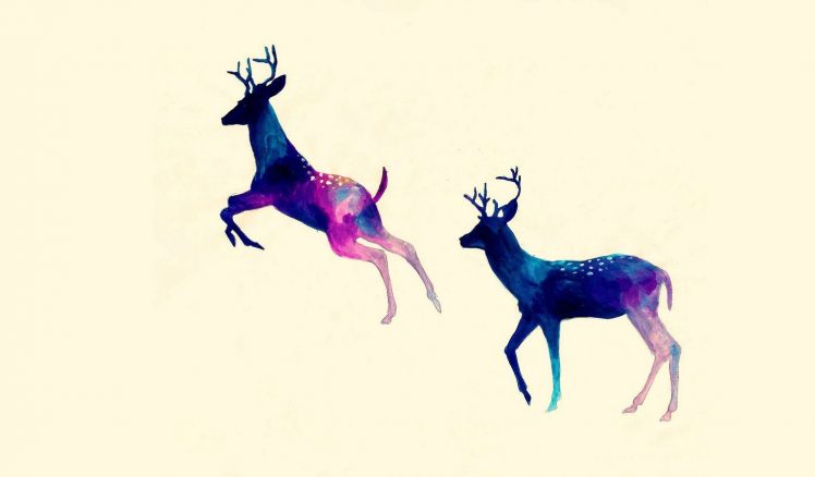deer HD Wallpaper Desktop Background