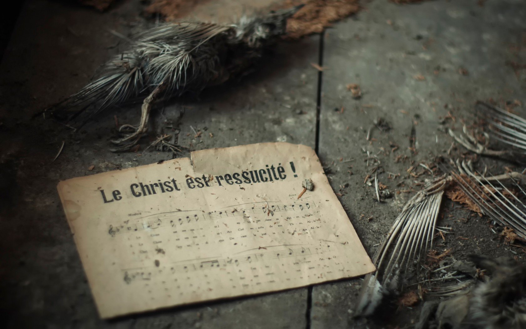 musical notes Wallpaper