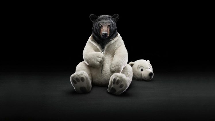 bears, Polar bears HD Wallpaper Desktop Background