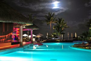 swimming pool, Night, Palm trees, Water