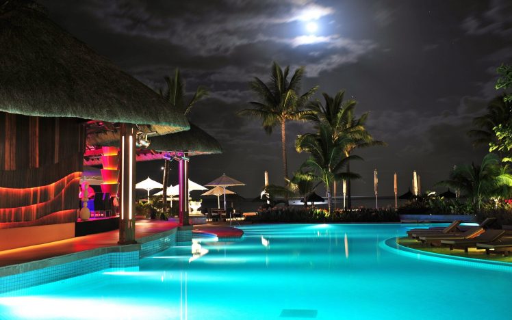 swimming pool, Night, Palm trees, Water HD Wallpaper Desktop Background