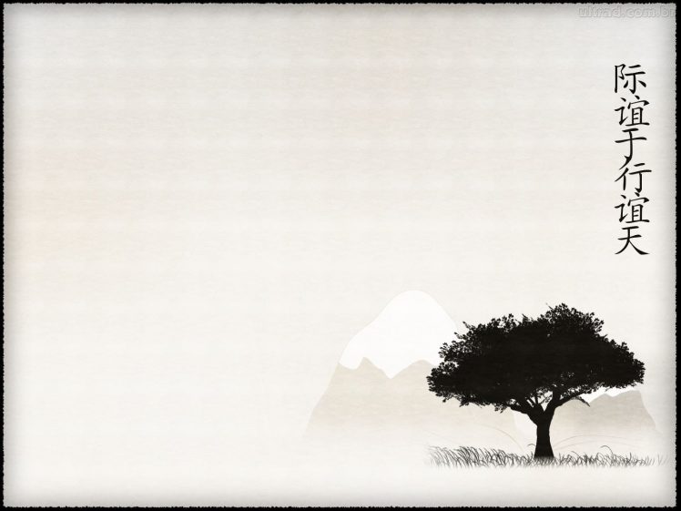 bonsai HD Wallpaper Desktop Background