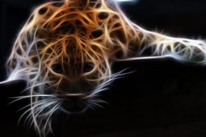 leopard, Wildlife, Adobe Photoshop, Fractalius