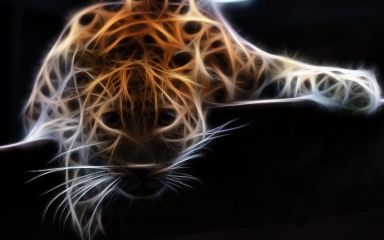 leopard, Wildlife, Adobe Photoshop, Fractalius HD Wallpaper Desktop Background