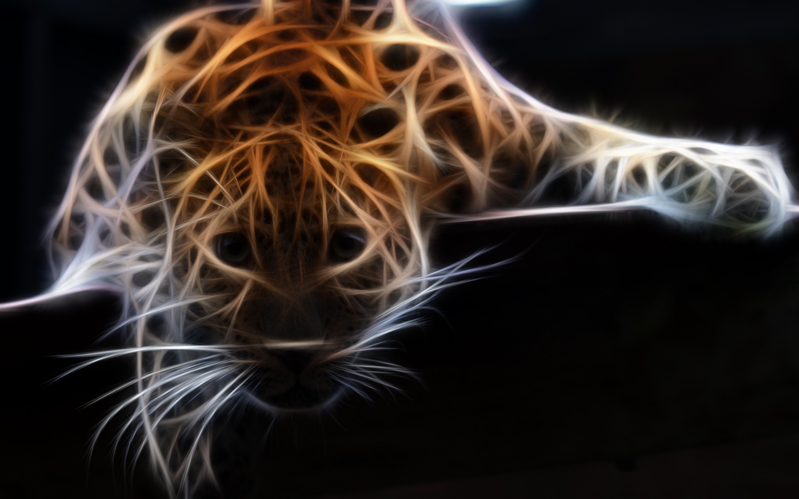 leopard, Wildlife, Adobe Photoshop, Fractalius Wallpaper