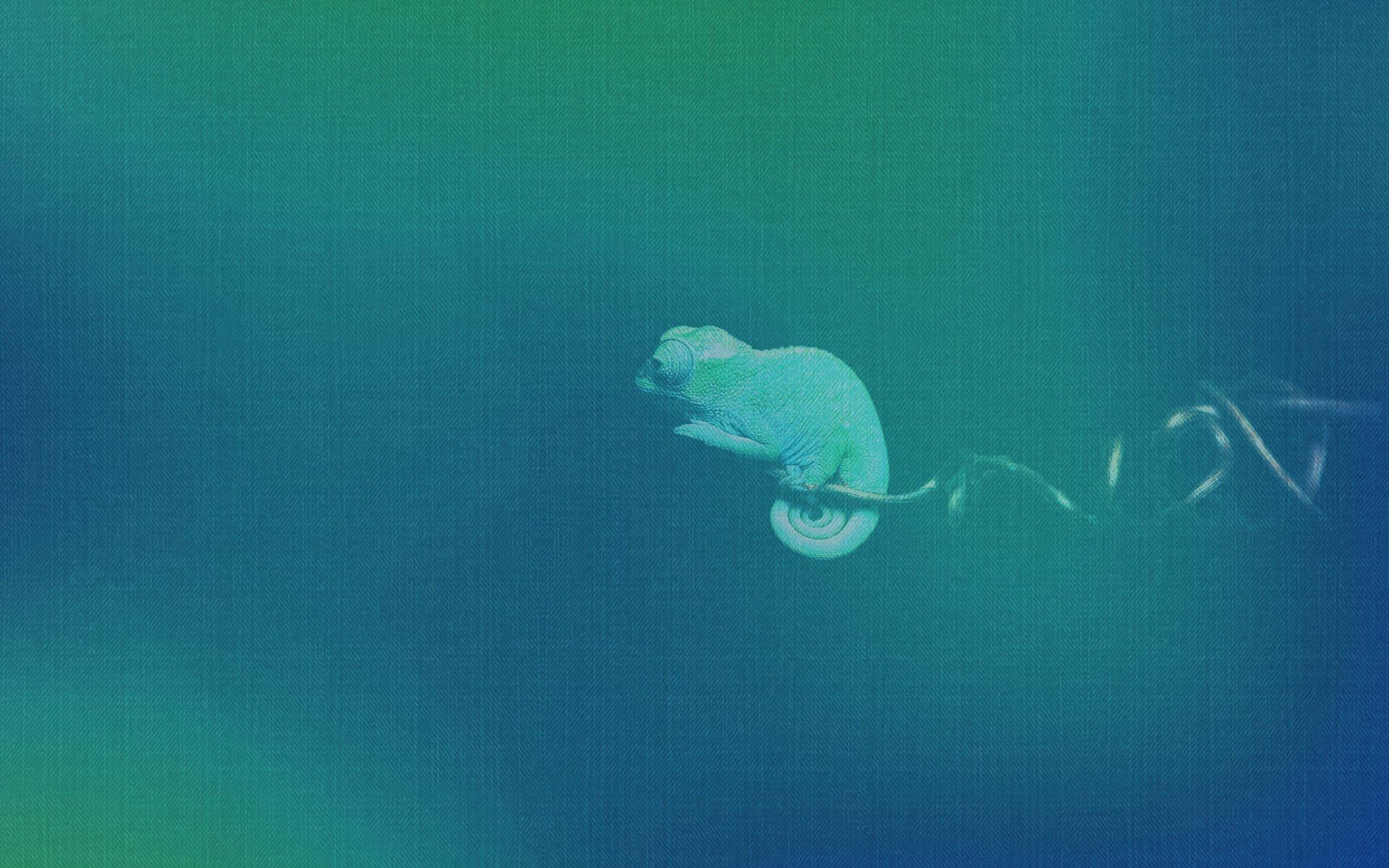Ubuntu Wallpaper