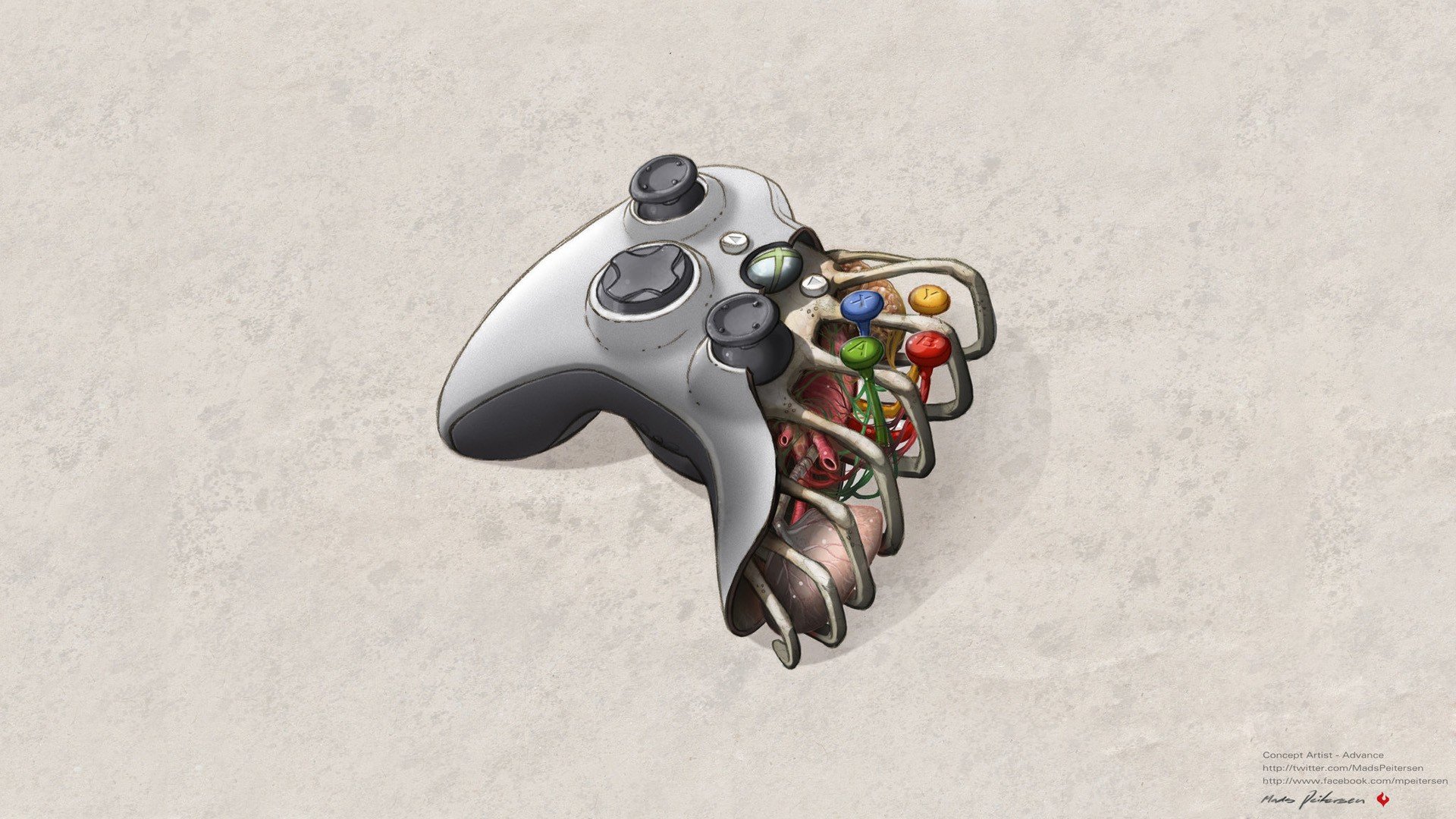 Xbox 360, Controllers, Anatomy Wallpaper