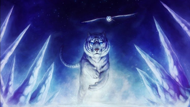 white tigers, Owl HD Wallpaper Desktop Background