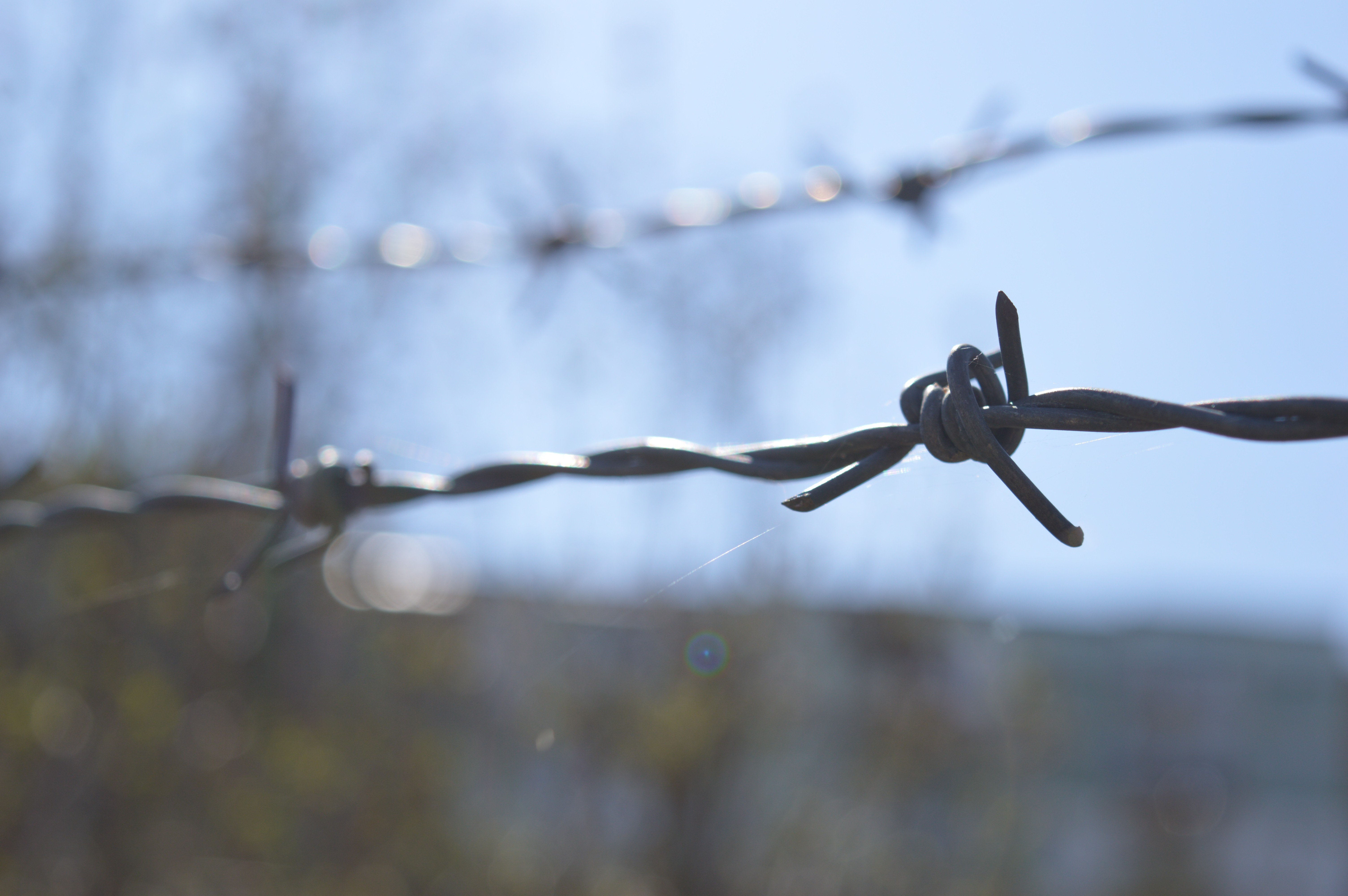 closeup, Fence Wallpaper
