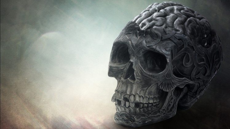 brains, Skull, Death HD Wallpaper Desktop Background