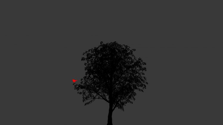 trees, Minimalism HD Wallpaper Desktop Background