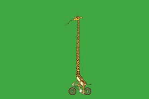 giraffes, Minimalism, Bicycle