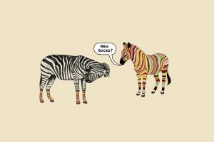 zebras, Minimalism