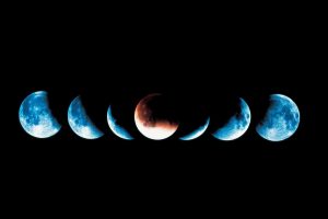 moon,  moon phases, Blood moon